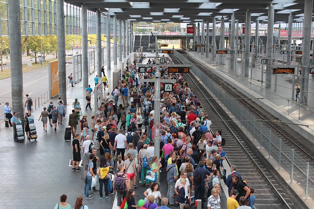 online platform